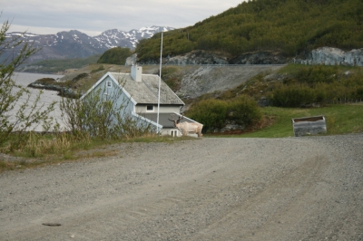 scandinavia_313.jpg