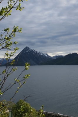 scandinavia_328.jpg
