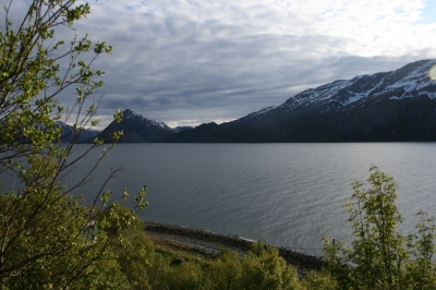 scandinavia_334.jpg