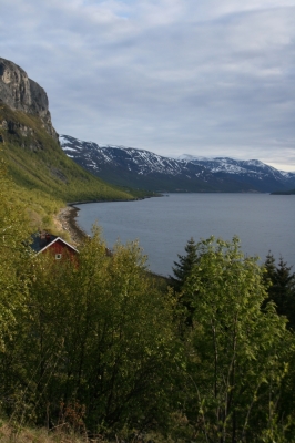 scandinavia_350.jpg