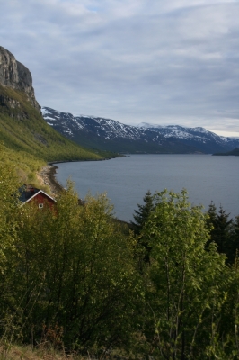 scandinavia_351.jpg