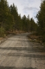 scandinavia_246.jpg