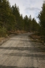 scandinavia_248.jpg