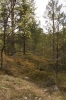 scandinavia_271.jpg