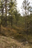 scandinavia_272.jpg