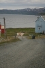 scandinavia_316.jpg