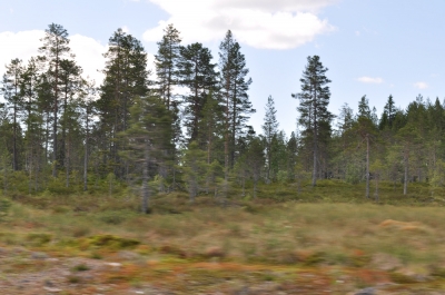 Scandinavia_2011_0113.jpg