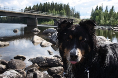 Scandinavia_2011_0353.jpg