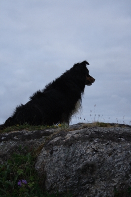 Scandinavia_2011_1314.jpg