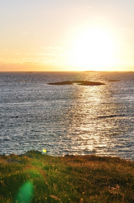 Scandinavia_2011_1411.jpg
