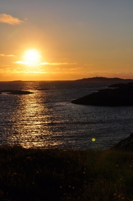 Scandinavia_2011_1456.jpg