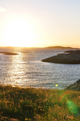 Scandinavia_2011_1458.jpg