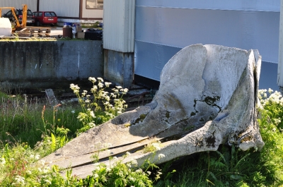 Scandinavia_2011_1575.jpg