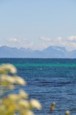 Scandinavia_2011_1598.jpg