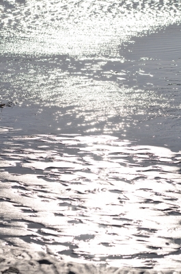 Scandinavia_2011_1616.jpg