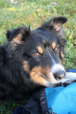 Scandinavia_2011_1846.jpg