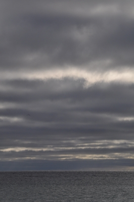 Scandinavia_2011_1917.jpg