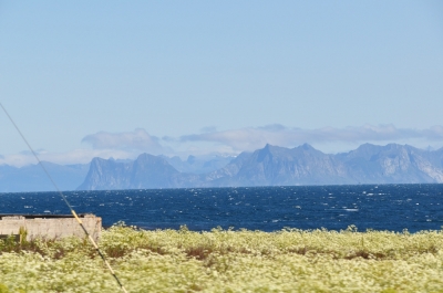 Scandinavia_2011_1950.jpg