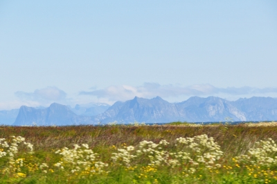 Scandinavia_2011_1951.jpg