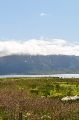 Scandinavia_2011_1970.jpg