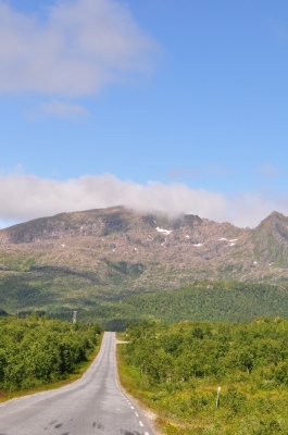 Scandinavia_2011_2024.jpg