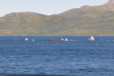 Scandinavia_2011_2071.jpg
