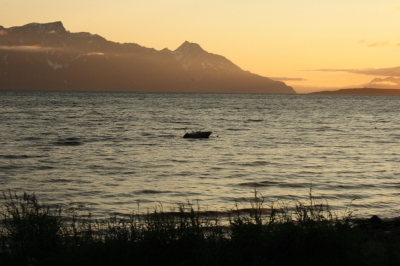Scandinavia_2011_2423.jpg