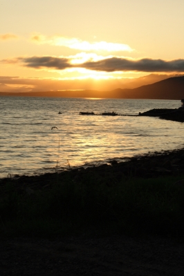 Scandinavia_2011_2426.jpg