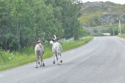 Scandinavia_2011_2482.jpg