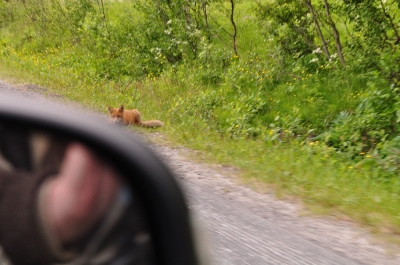 Scandinavia_2011_2486.jpg