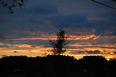 Scandinavia_2011_2593.jpg