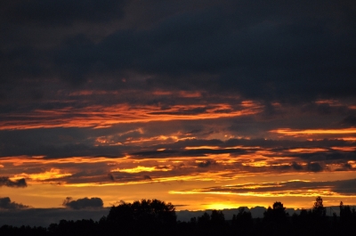 Scandinavia_2011_2603.jpg