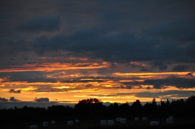 Scandinavia_2011_2604.jpg