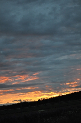 Scandinavia_2011_2608.jpg