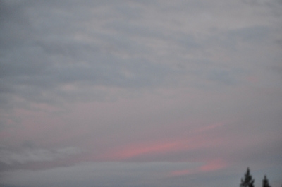 Scandinavia_2011_2622.jpg