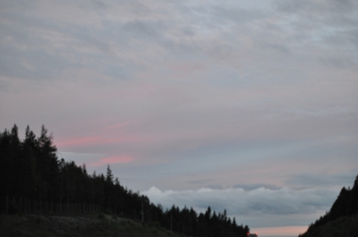 Scandinavia_2011_2624.jpg