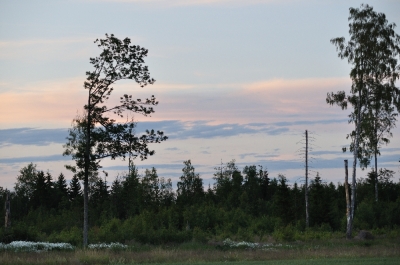 Scandinavia_2011_2673.jpg