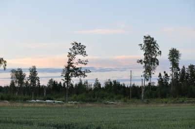 Scandinavia_2011_2674.jpg