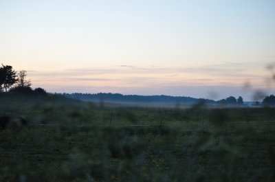 Scandinavia_2011_2680.jpg