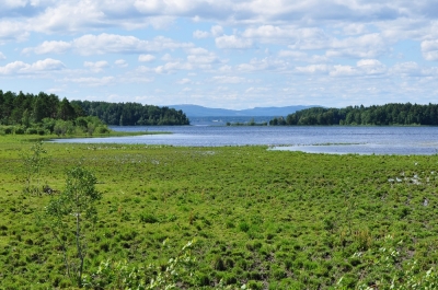 Scandinavia_2011_2683.jpg