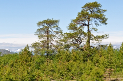 Scandinavia_2011_2693.jpg