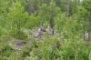 Scandinavia_2011_0399.jpg
