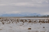 Scandinavia_2011_1225.jpg