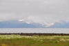 Scandinavia_2011_1271.jpg