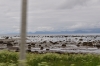 Scandinavia_2011_1274.jpg