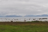 Scandinavia_2011_1277.jpg
