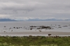 Scandinavia_2011_1281.jpg