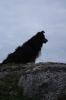 Scandinavia_2011_1314.jpg