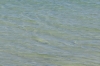 Scandinavia_2011_1339.jpg