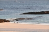 Scandinavia_2011_1547.jpg